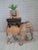 Vintage Hand-Carved Wooden Elephant Plant Stand, 1960s For Sale - Image 4 of 18