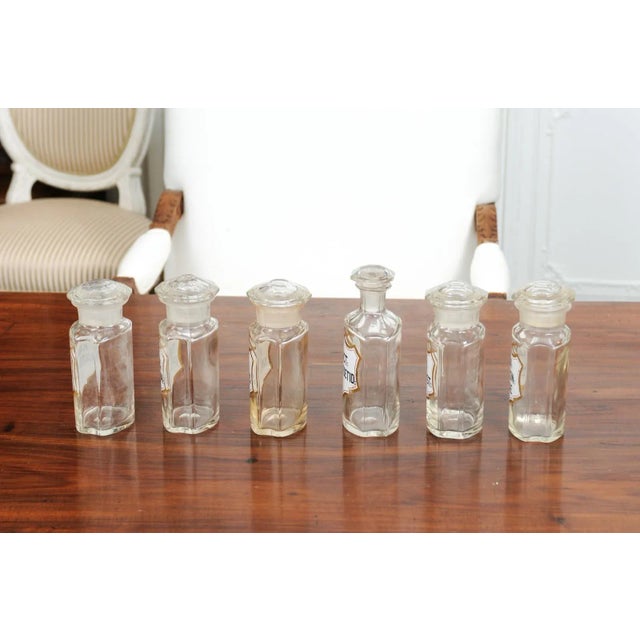 1840s French Louis-Philippe Period Glass Apothecary Jar with Latin Label For Sale - Image 11 of 12