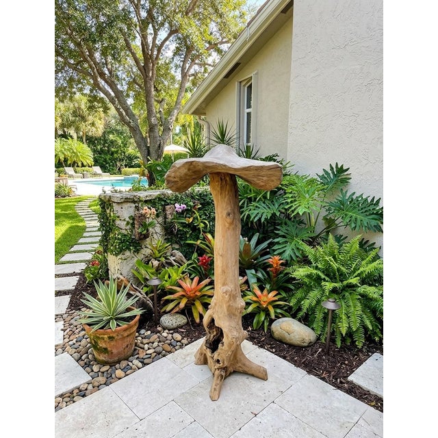 Artisanal Hand-Carved Teak Root Mushroom Sculpture For Sale - Image 9 of 12