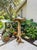 Artisanal Hand-Carved Teak Root Mushroom Sculpture For Sale - Image 9 of 12