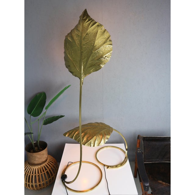 Rhubarb Table Lamp by Tommaso Barbi for Bottega Gadda, 1970 For Sale - Image 18 of 18