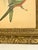 Early 20th Century Framed J. Gould Bird Prints in Ornate Gilt Frames - a Pair For Sale - Image 17 of 18