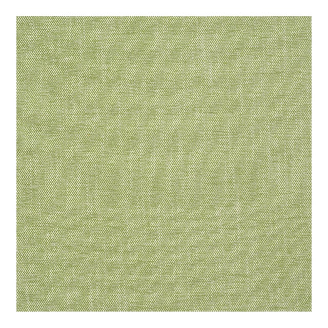 Sample - Schumacher Dean Indoor/Outdoor Fabric in Grass For Sale
