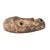 Early 20th Century Bwami Society Lega Mask For Sale - Image 4 of 7