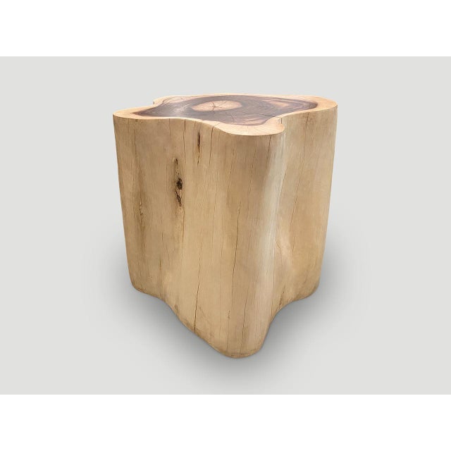 Andrianna Shamaris Rare Sono Wood Oversized Side Table or Pedestal For Sale In New York - Image 6 of 18