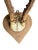 Roe Deer Trophy mounted on a heart shaped wood plaque. 8"H x 4.25"W x 6"D