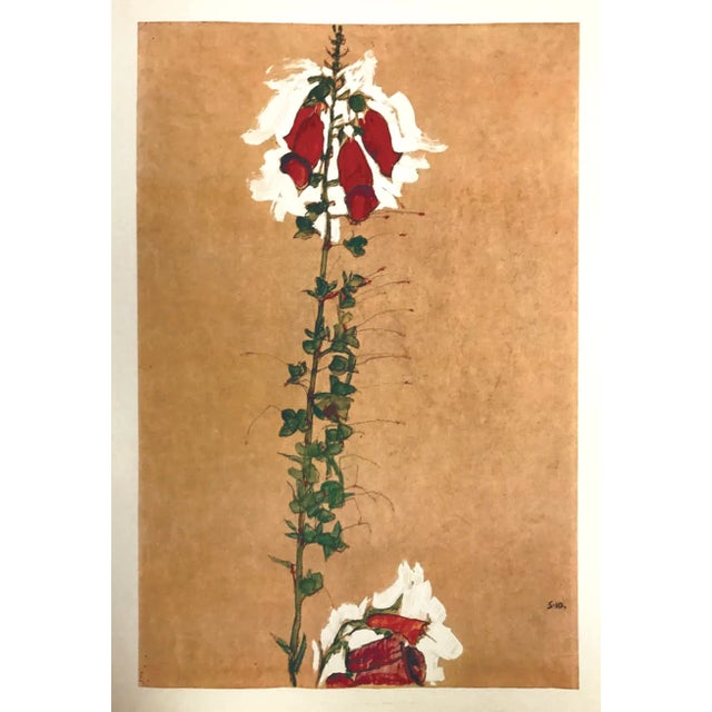 Artist:Egon Schiele Country:Austria Title:Red Foxglove Medium:Lithograph – 11 Marks:Signed in plate Printed:1968 by Max...