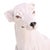 A charming Italian majolica figure of a dog skillfully modeled and decorated in richly glazed earthenware. Capturing the...