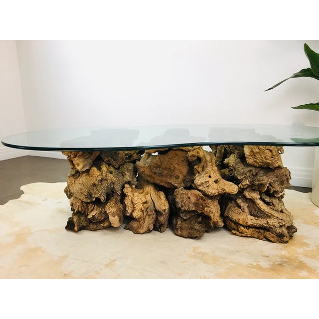 Wood Vintage 1970s Burlwood Driftwood Sculptural Glass Top Coffee Table For Sale - Image 7 of 11