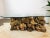 Wood Vintage 1970s Burlwood Driftwood Sculptural Glass Top Coffee Table For Sale - Image 7 of 11