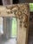 Italian Antique Italian Entryway Mirror For Sale - Image 3 of 4