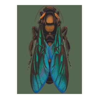 Bugs by Seguy #8 For Sale