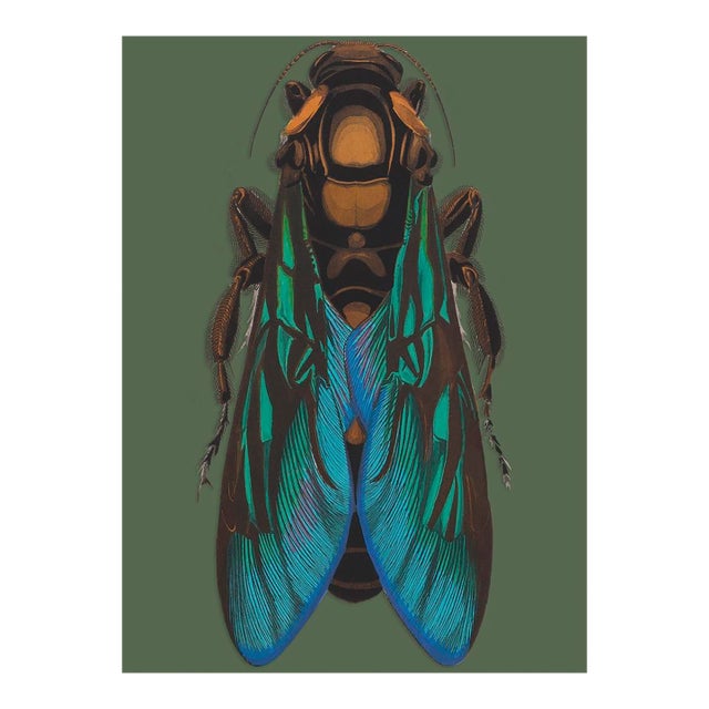 Bugs by Seguy #8 For Sale
