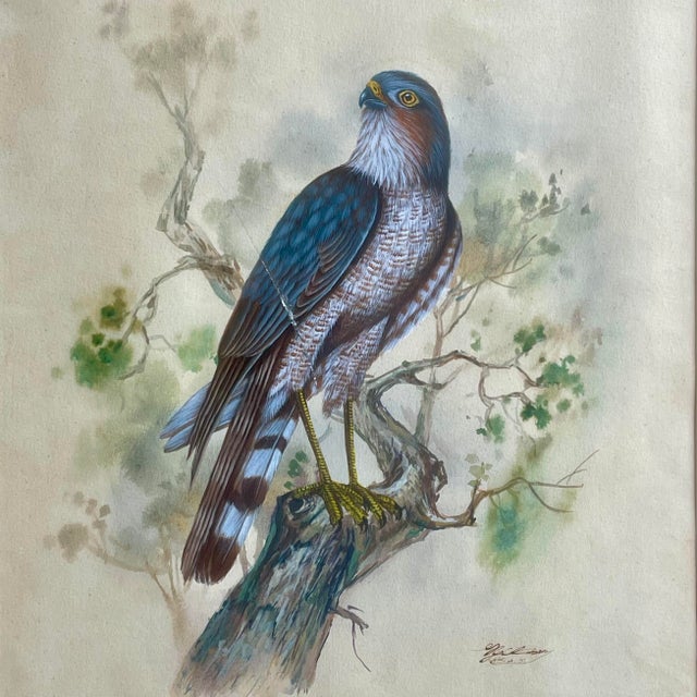 Late 20th Century Vintage Watercolor Avian Animal Paintings, Signed & Framed Pair For Sale - Image 5 of 8