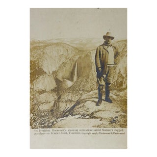 Antique 1904 Photograph Teddy Roosevelt Yosemite Postcard For Sale