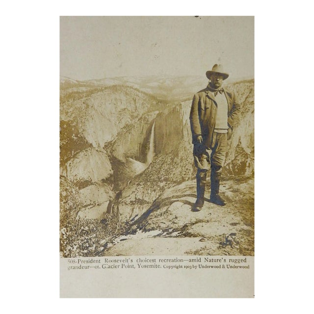 Antique 1904 Photograph Teddy Roosevelt Yosemite Postcard For Sale