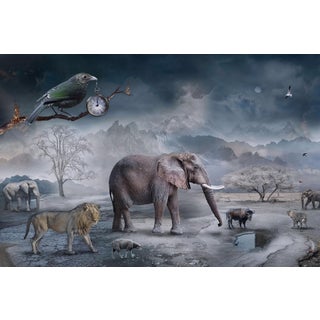 The Last Drop of Water by Marcin Owczarek | Photography of a surreal landscape with animals For Sale