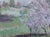 1950s Impressionism Oil Painting: Cherries Blossomed, Ukrainian Artist 23-31 For Sale - Image 4 of 6