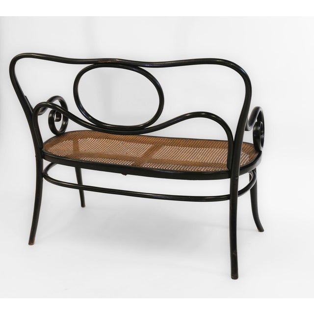 Art Nouveau Bentwood Ebonised Bench No 96 attributed to Thonet, 1900s For Sale - Image 10 of 18