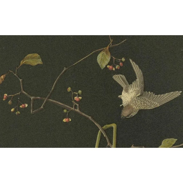 Audsleys the Ornamental Arts of Japan, 1884, Lithograph For Sale - Image 4 of 7