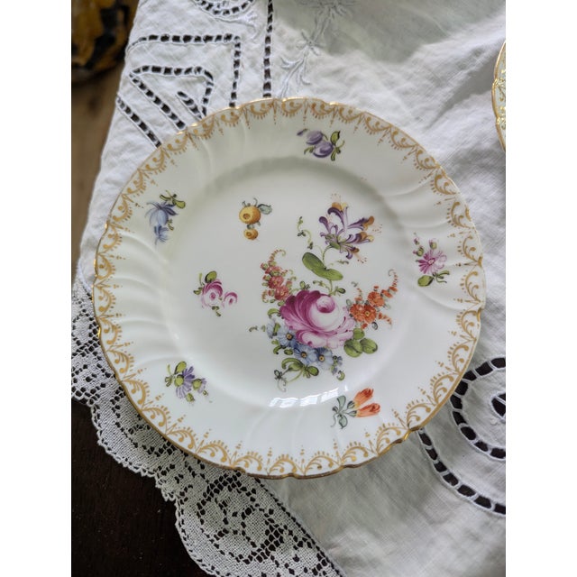 Six Antique Meissen 6" Porcelain Plates With Hand Painted Garden Flowers & Gilt Highlights For Sale In Greensboro - Image 6 of 10