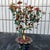 Pair of Vintage Gemstone & Cloisonné Enamel Bonsai Trees – Agate, Crystal & Pearl Fruit For Sale In Los Angeles - Image 6 of 12