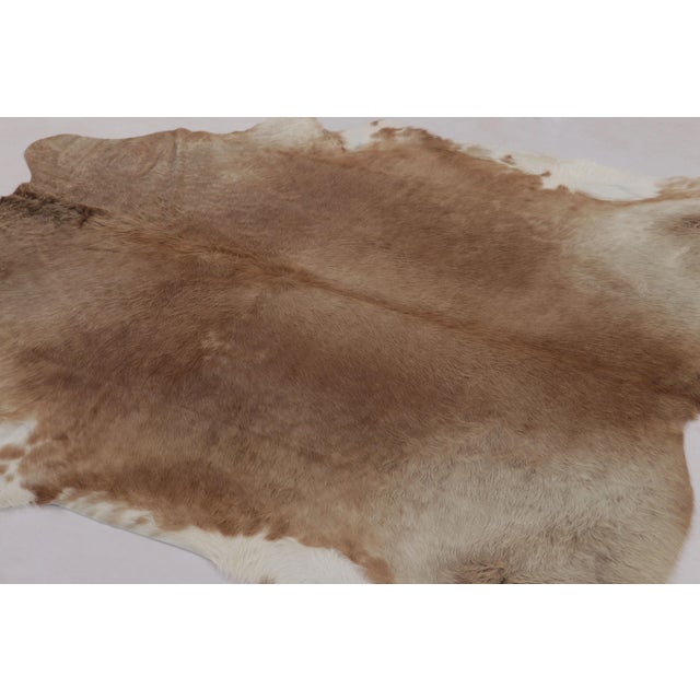 This handmade 7x7 contemporary cowhide rug from Rug & Kilim represents an exciting new collection of rare large-size...