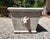 Vintage Cast Concrete Lions Head Planter For Sale - Image 9 of 12