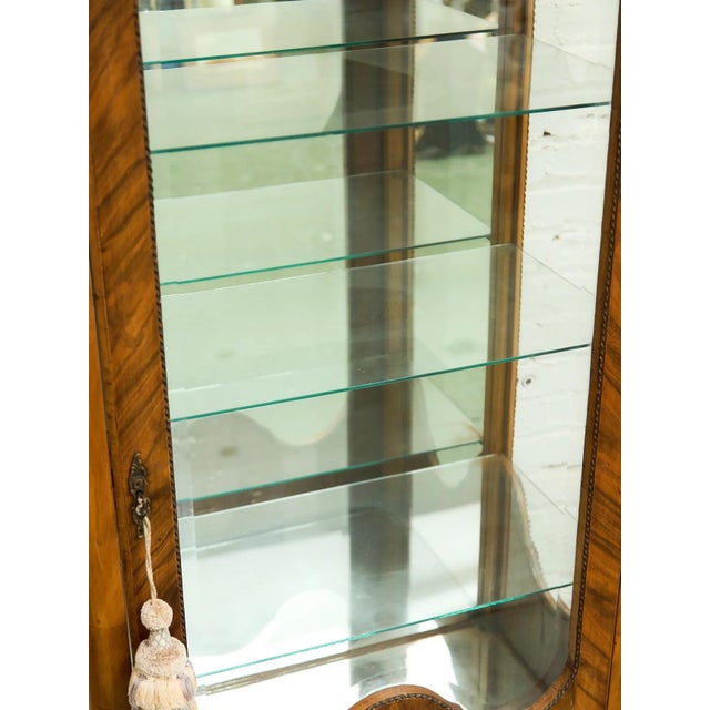 Burnt Umber Late 19th Century Georgian Art Deco Glass Display Curio For Sale - Image 8 of 12
