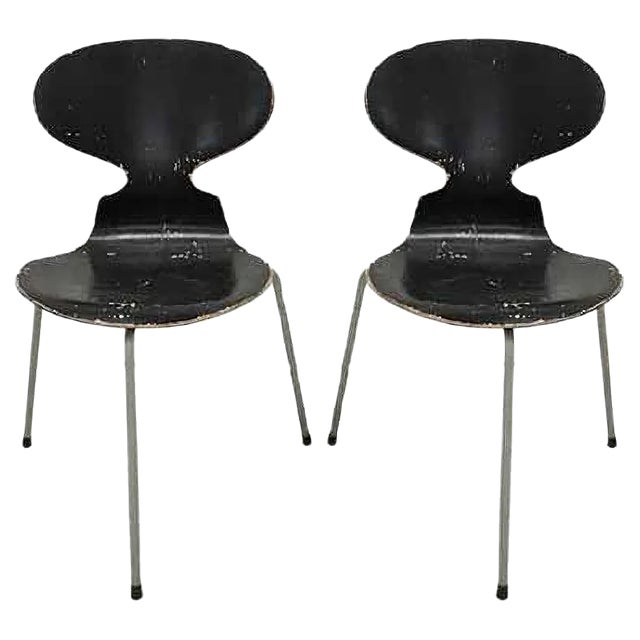 Set of Dining Chairs by Arne Jacobsen for Fritz Hansen, 1952 For Sale