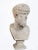 American Emperor Lucius Verus Bust, Unknown For Sale - Image 3 of 3