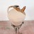 Terracotta Amphora with Base, Set of 2 For Sale - Image 16 of 17