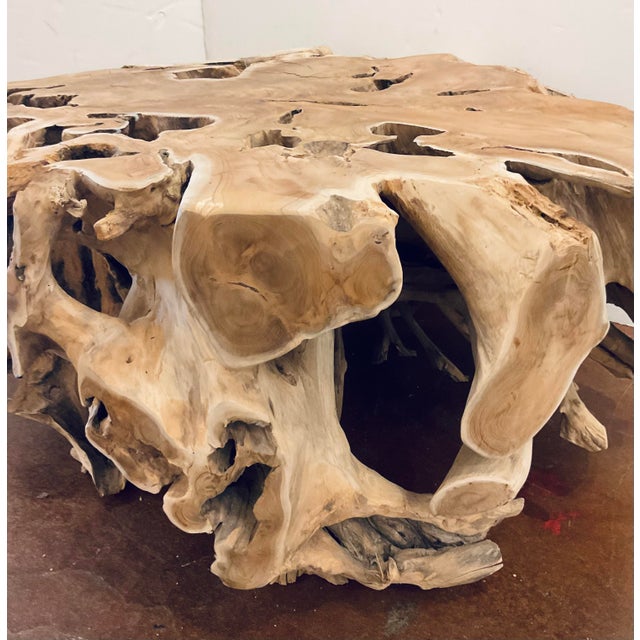 Contemporary Organic Modern Teak Root Ball Cocktail Table For Sale - Image 3 of 4