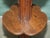 Antique Regency Carved Hardwood 3-Tier Jardinier with Dolphin Supports, 1820 For Sale - Image 12 of 18