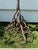 1940s Hand Forged Wrought Iron Rose Floor Candle Holder Sculpture Roots Blacksmith For Sale - Image 4 of 13