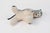 Cream Mid-Century Stuffed Zebra Folk Art Toy For Sale - Image 8 of 10
