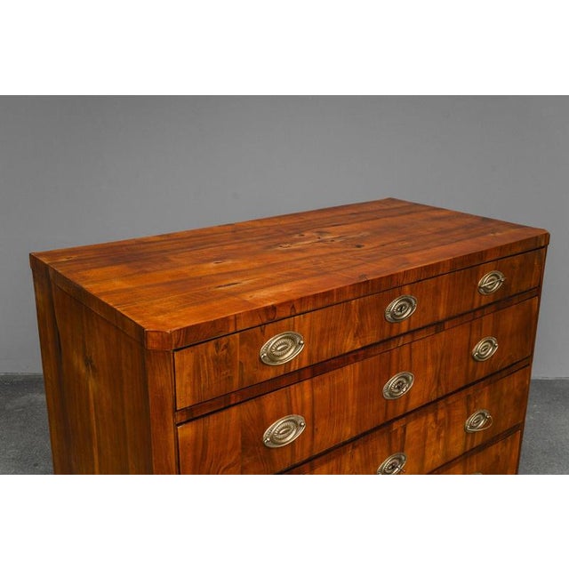 Metal Biedermeier Chest of Drawers in Walnut For Sale - Image 7 of 18