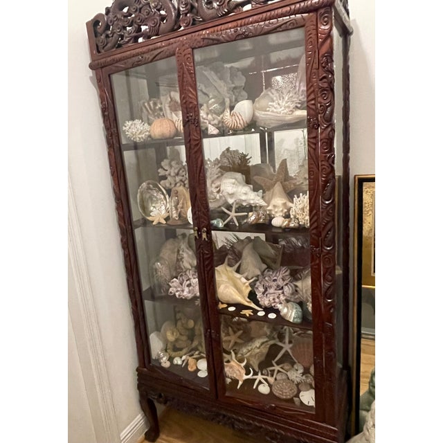 1900 - 1909 1900-1909 Great Seaworld Sea Shells Specimens Collection in Chinese Chinoiserie Rosewood Carved Vitrine For Sale - Image 5 of 14