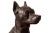 Cast Iron Figure of a Seated Dog For Sale - Image 11 of 12