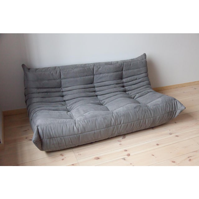 Set of Grey Microfiber Togo 2-and 3-Seat Sofa by Michel Ducaroy for Ligne Roset For Sale - Image 12 of 15
