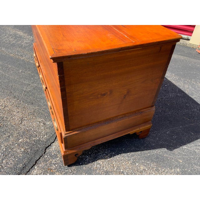 Auburn Walnut Chippendale Mule Chest For Sale - Image 8 of 18