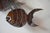 Brutalist Torched Metal School of Fish Wall Sculpture For Sale In Richmond - Image 6 of 7