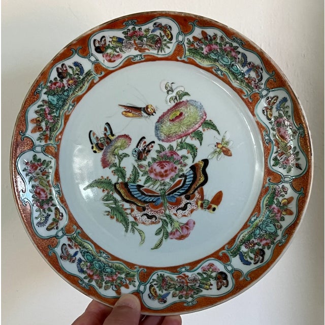 Antique Early 19th Century Chinese Export Porcelain Plate With Rose Medallion Decoration of Butterflies and Insects For Sale In New York - Image 6 of 10