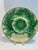 Early 20th Century Early 20th Century French Portieux Vallerysthal Majolica Seafood Plates - Set of Four For Sale - Image 5 of 7