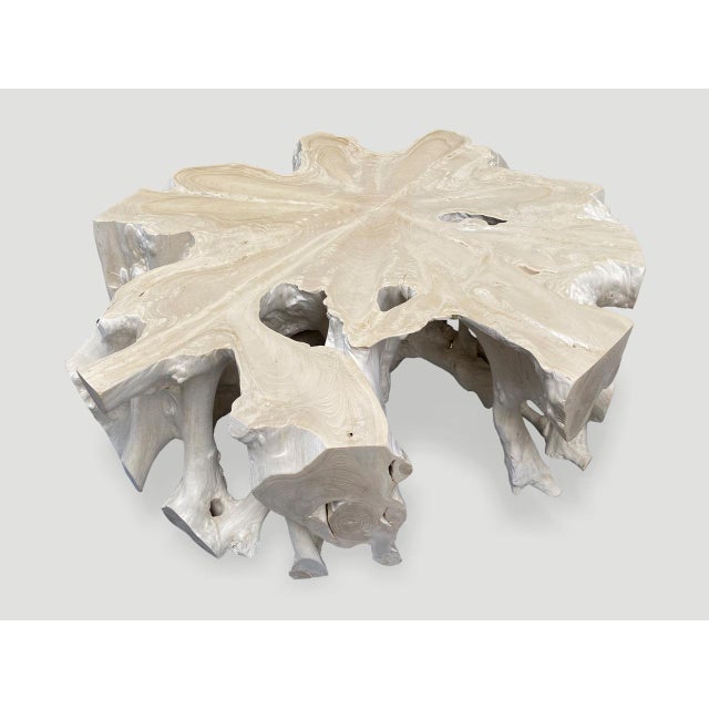 Andrianna Shamaris Bleached Teak Wood Round Organic Coffee Table For Sale - Image 12 of 18