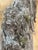 1854 Big Burn Ghost Forest Large 4-Foot Ribbon Grain Architectural Sculpture For Sale - Image 6 of 9