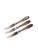 19th Century Fruit Knives from Fraget, Poland, Set of 3 For Sale - Image 4 of 4