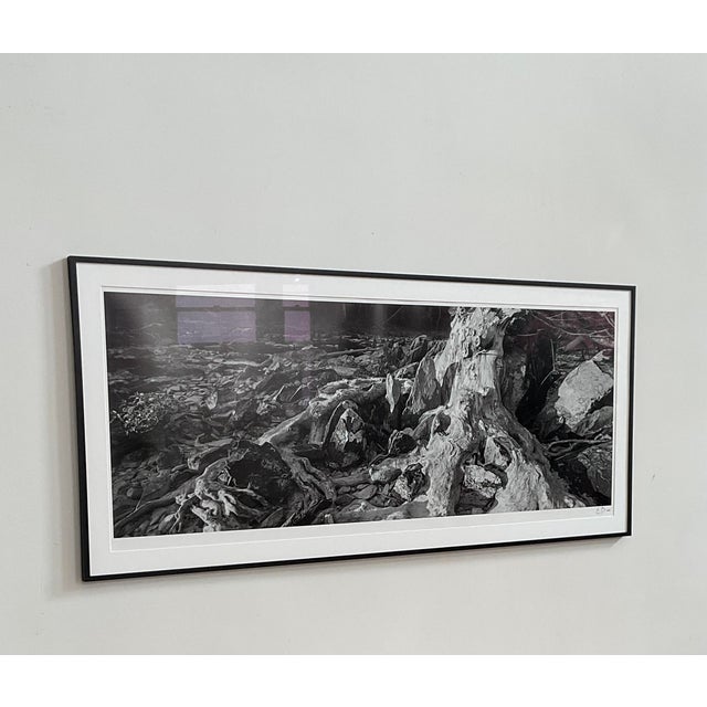 Original Large Print Photograph by Durham, Nc Artist Elliot Blumberg For Sale In Raleigh - Image 6 of 11