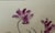 Hand-Painted Botanical Ceramic Tiles by Josef Frank, Meissen, Germany, 1960, Set of 9 For Sale - Image 3 of 15