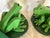 Pair of Handmade Wooden Frog Bookends For Sale - Image 10 of 11